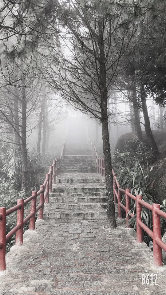 perfume pagoda 3.jpeg